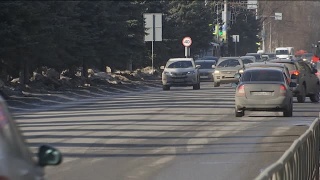 О соблюдении карантина в Новокузнецке