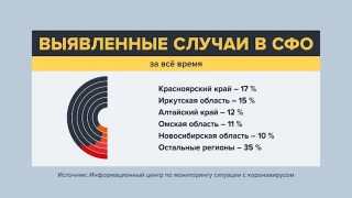 Статистика первой рабочей недели по Сибири