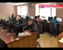 Цветы к правам и госномерам