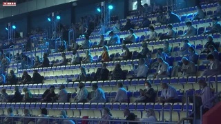 Стань чемпионом. Выбор вида спорта для ребенка
