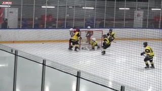 Первенство Сибири по хоккею (2013 гр) Первенство Сибири по хоккею (2013 гр)