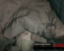 Не несчастный случай, а все-таки убийство