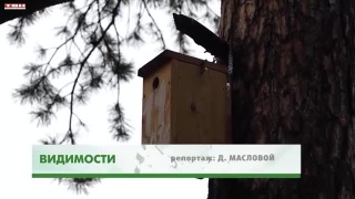 Птичьи домики к зиме