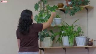 Большие учения в школах страны