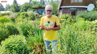 Анонс программы «Вперед, товарищи! На дачу!» от 14.07.26