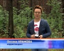 Пошли в лес - не заблудитесь