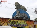 Контактный зоопарк в Заводском районе