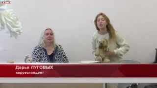 Наталья Скворцова создает игрушки 