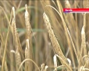 «Ариант» формирует кадровый резерв