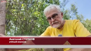 Анонс программы «Вперед, товарищи! На дачу!» от 21.07.26