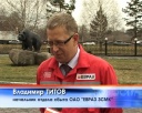 Платиновые клиенты ЕВРАЗа