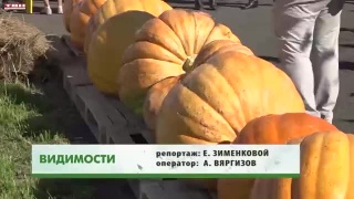 Самая гигантская тыква у новокузнечанина