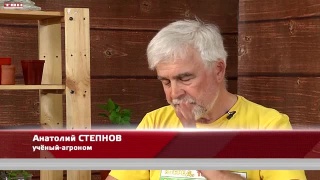 Анонс программы «Вперед, товарищи! На дачу!» от 29.04.25