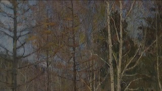 Два автора – один повод