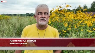 Анонс программы «Вперед, товарищи! На дачу!» от 18.08.26