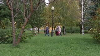 Ходьба на пользу сердца