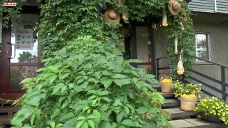 Конкурс красивых клумб