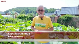 Анонс программы «Вперед, товарищи! На дачу!» от 29.07.25