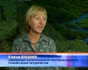 Мы в ответе за тех, кого приручили