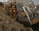 На Бардина начали делать парковки