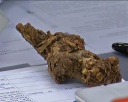 Встреча Главы со скаутами 