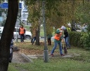 В Новокузнецке стартовал общегородской субботник