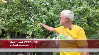 Анонс программы «Вперед, товарищи! На дачу!» от 05.08.25