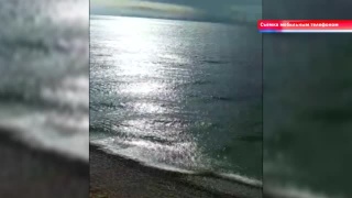 Елизавета Звягинцева на «Экодемии»