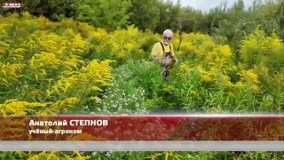 Анонс программы «Вперед, товарищи! На дачу!» от 26.08.25
