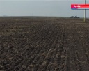 Новокузнецкий район уже вышел в поля