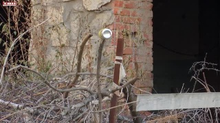 У дома на Мичурина наведут порядок У дома на Мичурина наведут порядок