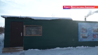 Моржи отметили День моржа