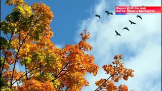 Вечер-элегия в библиотеке имени Гоголя