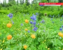 Вузы работают со старшеклассниками