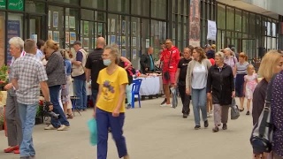 Художественный музей и Гоголевка. День города