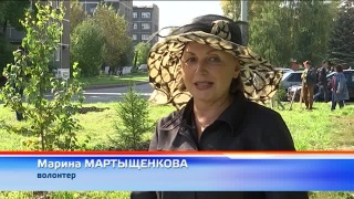 Новые деревья на Дузенко