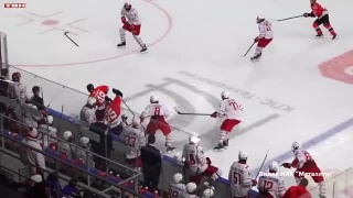 «Кузнецкие Медведи» сегодня проводят заключительный домашний матч в ноябре