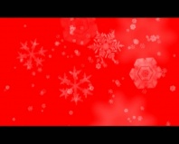 Новости ТВН от 25.12.13