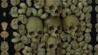 Мумии в краеведческом музее