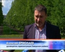 Запсиб становится светлее