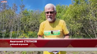 Анонс программы «Вперед, товарищи! На дачу!» от 25.08.26