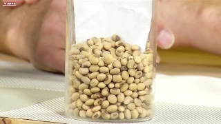 Анонс программы «Вперед, товарищи! На дачу!» от 17.03.26