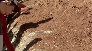 Уникальные находки на "родине динозавров"