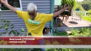 Анонс программы «Вперед, товарищи! На дачу!» от 15.07.25
