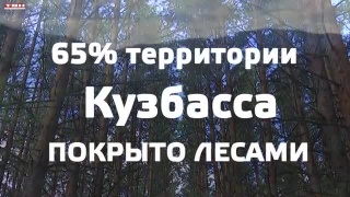 Итоги акции «Сад Памяти»