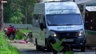«Сибагро» помогает приюту «Шанс на жизнь»