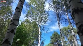 Анонс программы «Вперед, товарищи! На дачу!» от 19.08.25