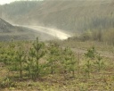 Кузбассразрезуголь рекультивирует земли