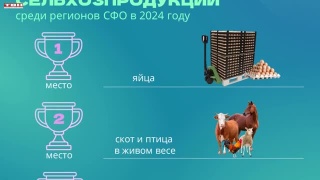 Больше миллиарда куриных яиц съели кузбассовцы