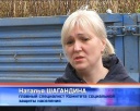 Плодовые деревья и кустарники в подарок